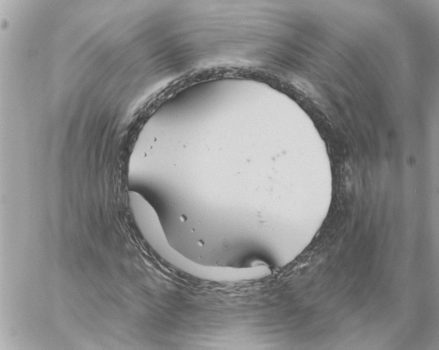 X0000058120872200510212018