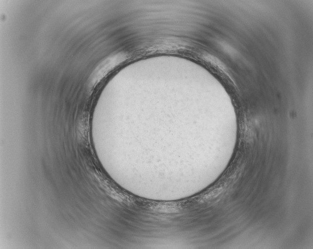 X0000058120874200510212018