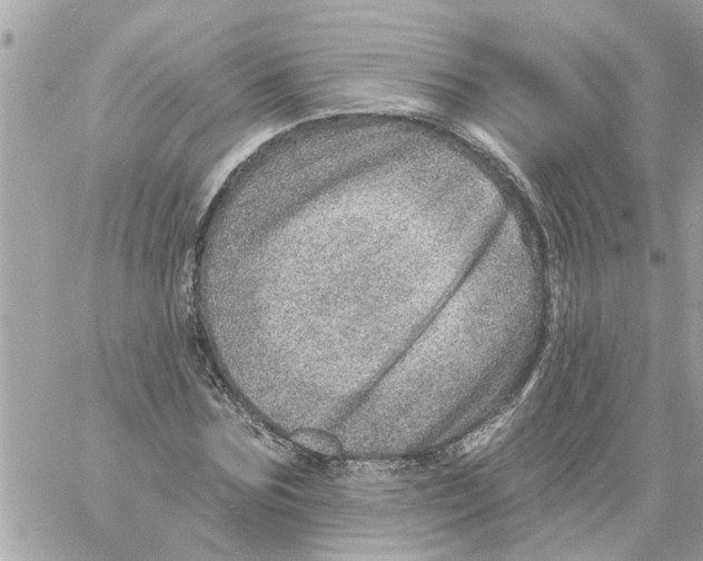 X0000058120875200510212018