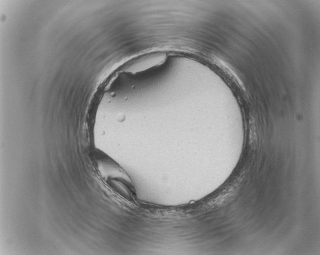 X0000058120876200510212018