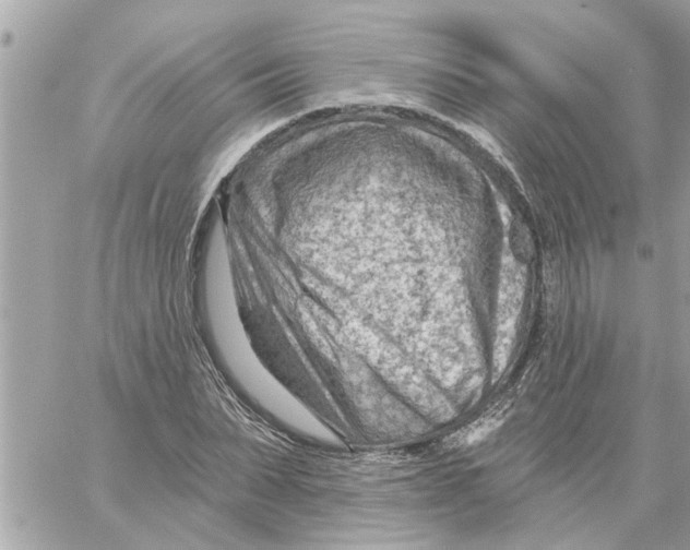 X0000058120879200510212018