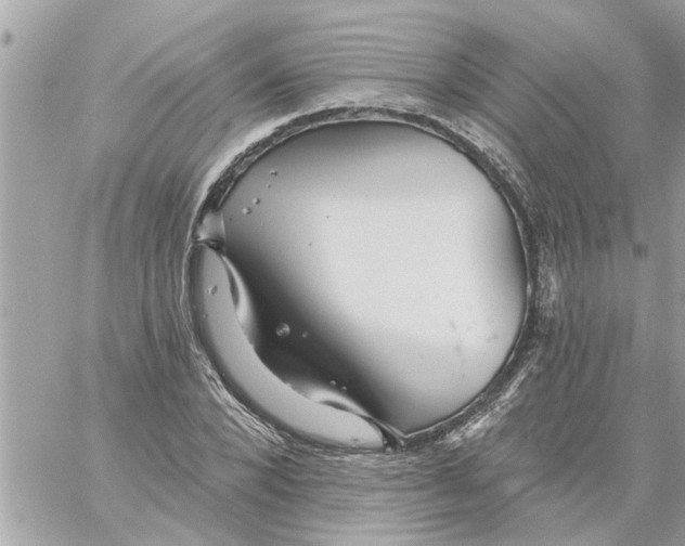 X0000058120880200510212018