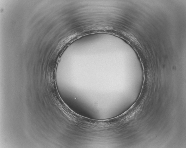 X0000058120881200510212018