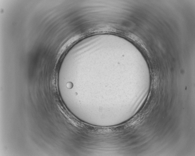 X0000058120882200510212018