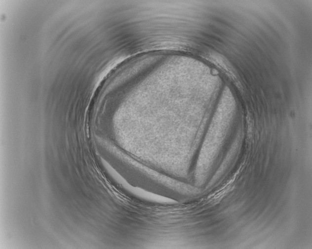 X0000058120883200510212018