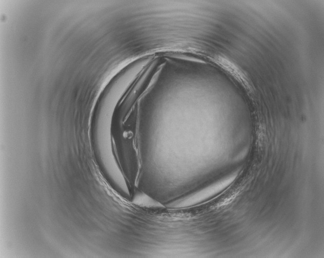 X0000058120884200510212017