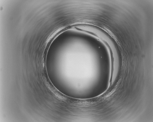 X0000058120885200510212017