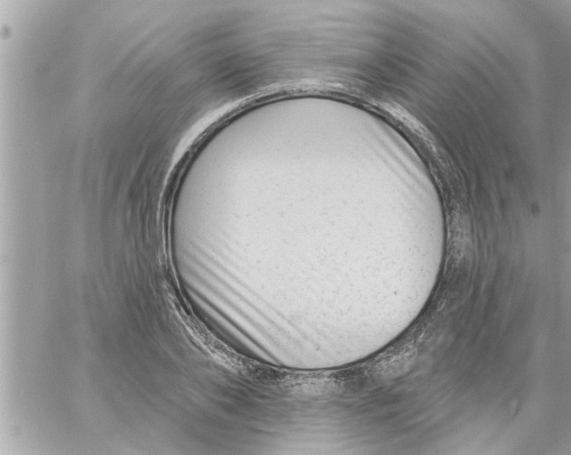 X0000058120886200510212017