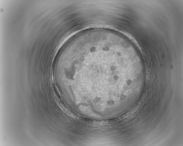 X0000058120887200510212017