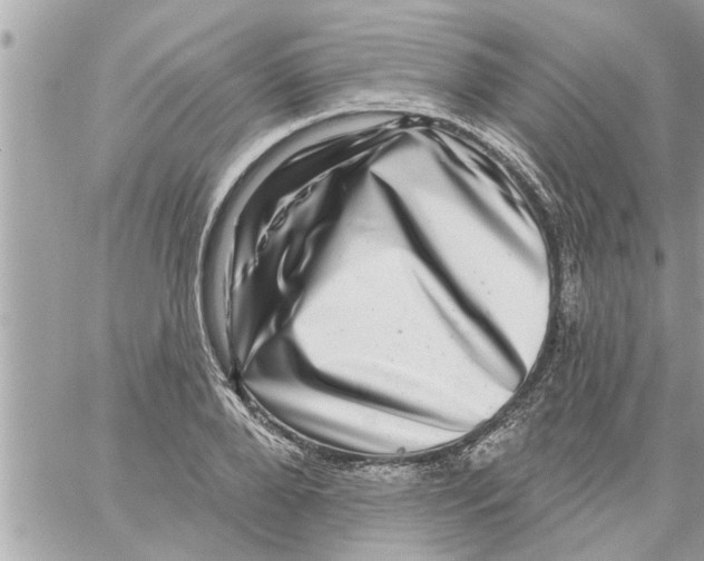 X0000058120888200510212017