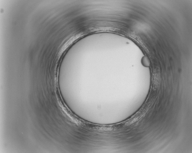 X0000058120890200510212017