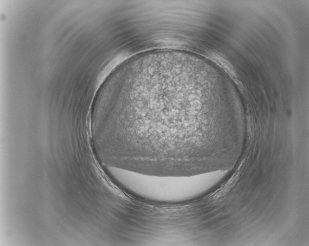 X0000058120891200510212017