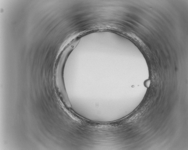 X0000058120894200510212017