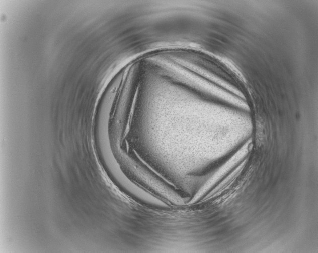 X0000058120895200510212017