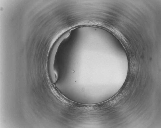 X0000058120896200510212017