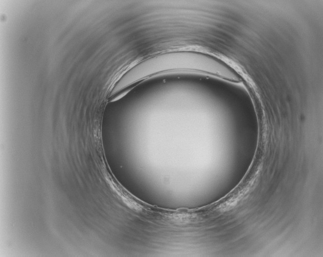 X0000058120897200510212017