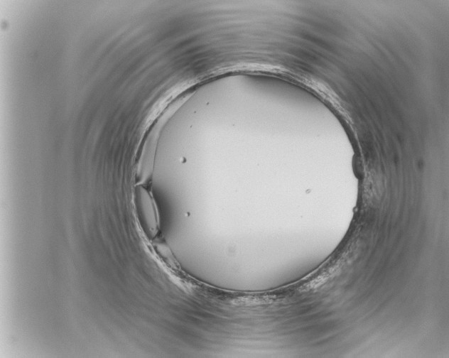 X0000058120898200510212017