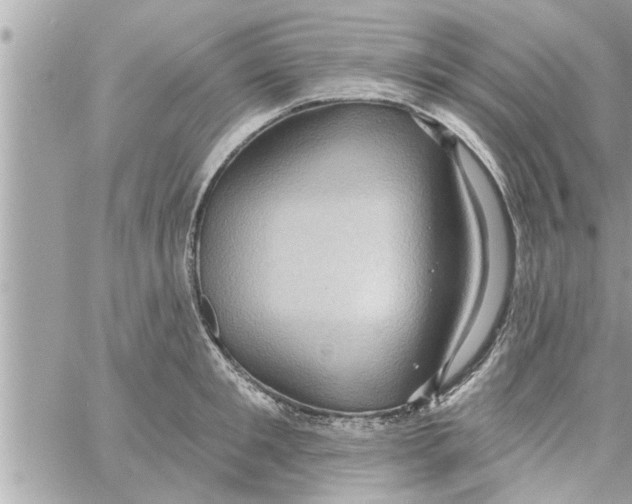 X0000058120901200510212017