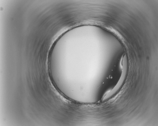 X0000058120902200510212017