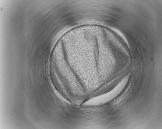 X0000058120903200510212017