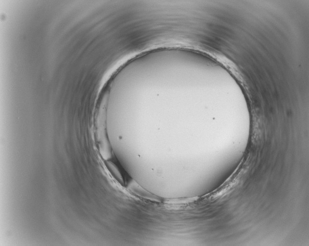 X0000058120904200510212017