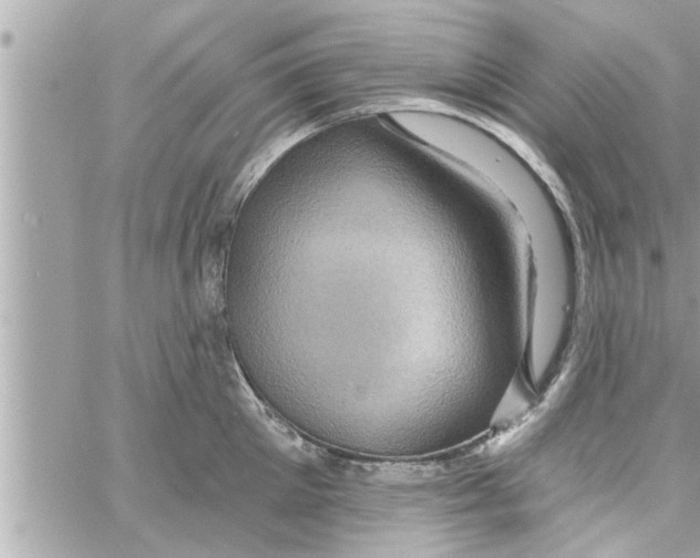 X0000058120905200510212017