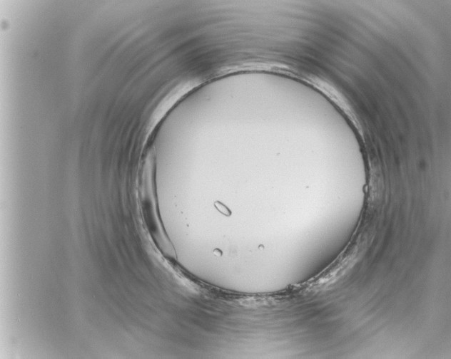 X0000058120906200510212017