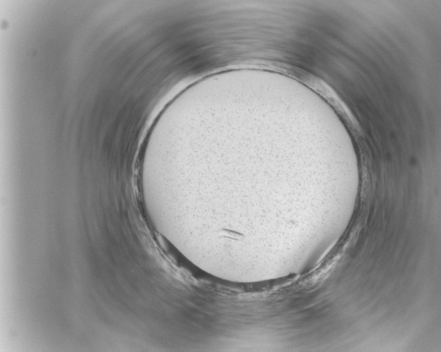 X0000058120908200510212017