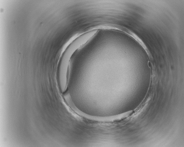 X0000058120909200510212017