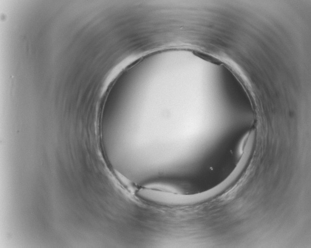 X0000058120910200510212017