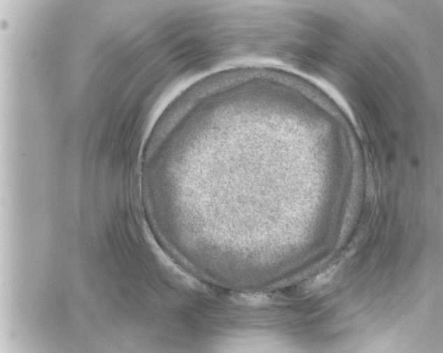 X0000058120911200510212017