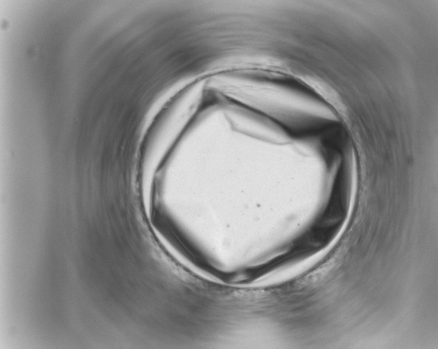 X0000058120912200510212017