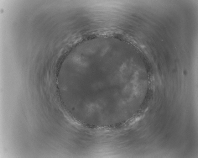 X0000058120913200510212016