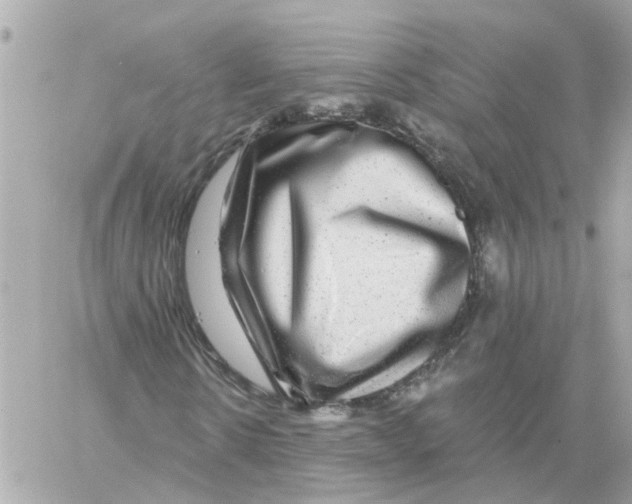 X0000058120914200510212016