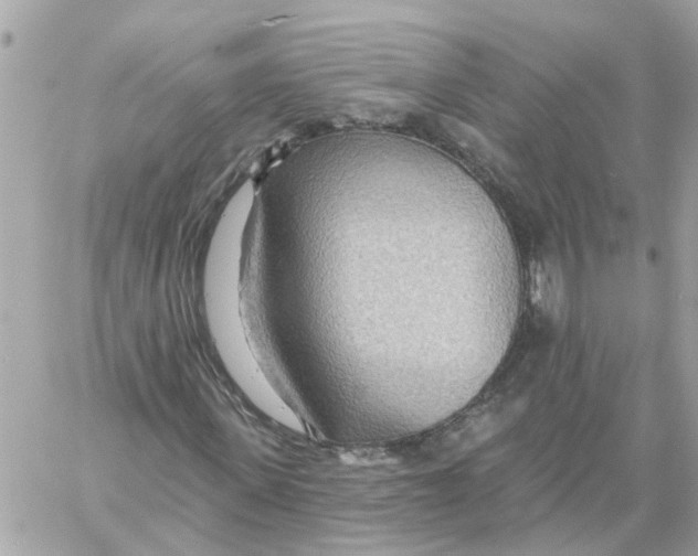 X0000058120915200510212016