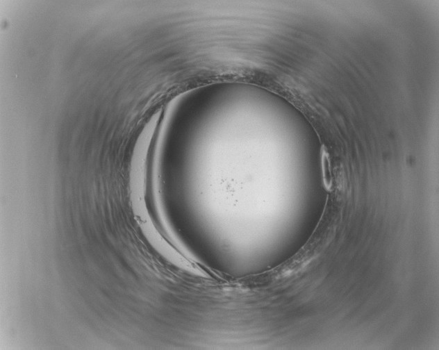 X0000058120916200510212016