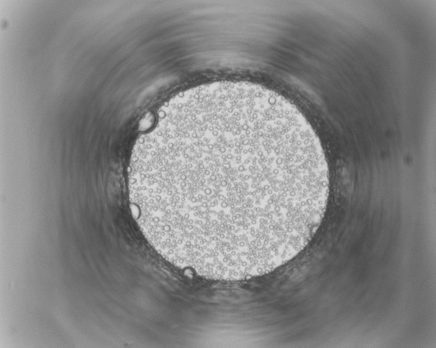 X0000058120918200510212016