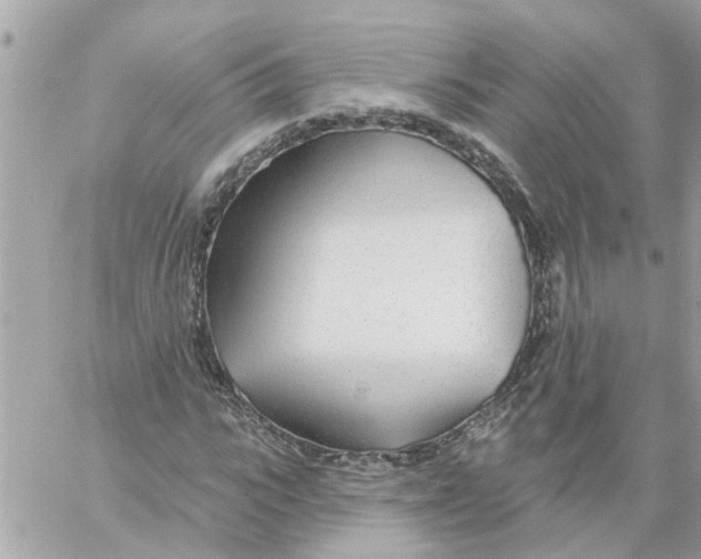 X0000058120919200510212016