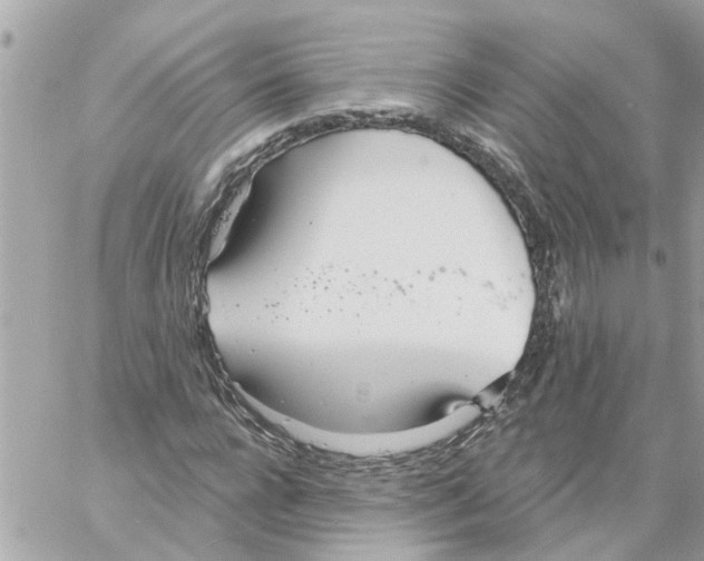 X0000058120920200510212016