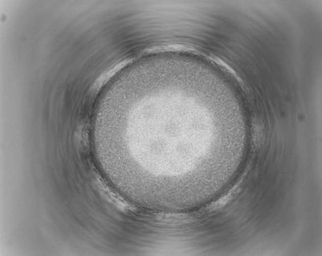 X0000058120921200510212016