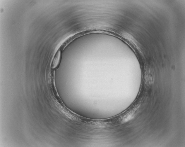 X0000058120924200510212016