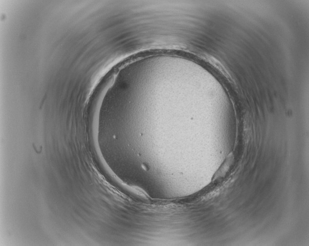 X0000058120926200510212016