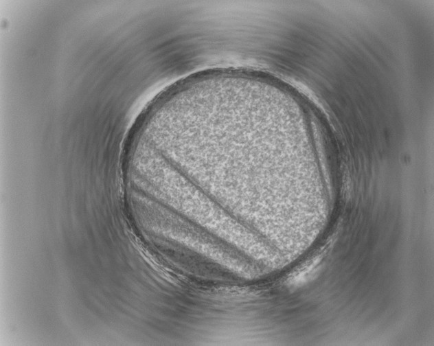 X0000058120927200510212016