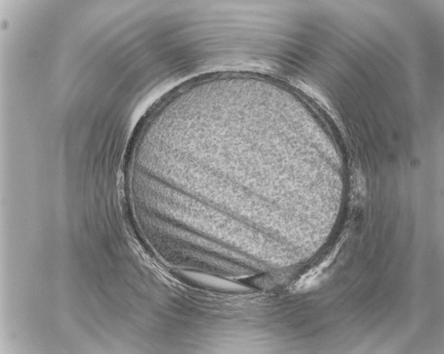 X0000058120928200510212016