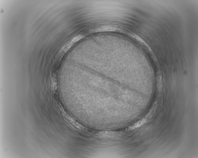 X0000058120929200510212017