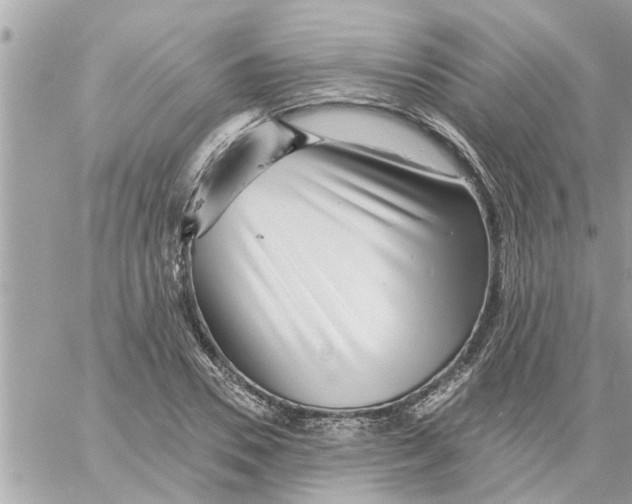 X0000058120930200510212017