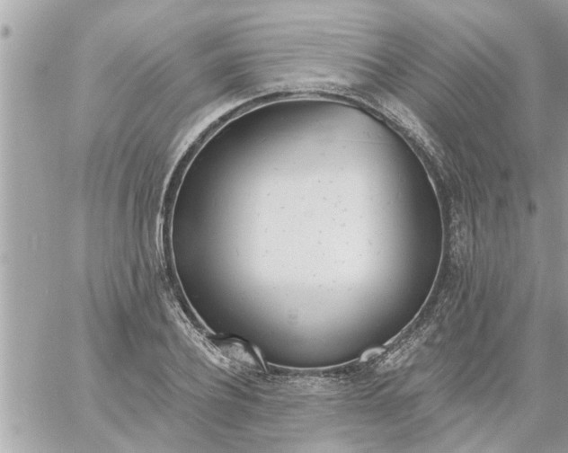 X0000058120932200510212017