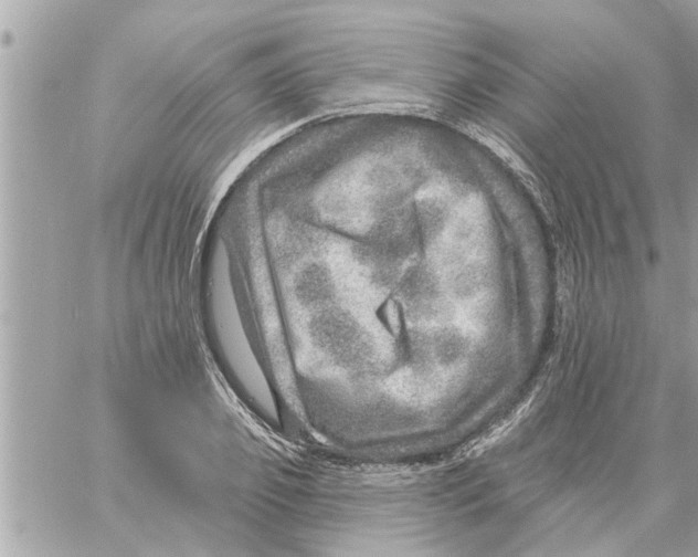 X0000058120933200510212017