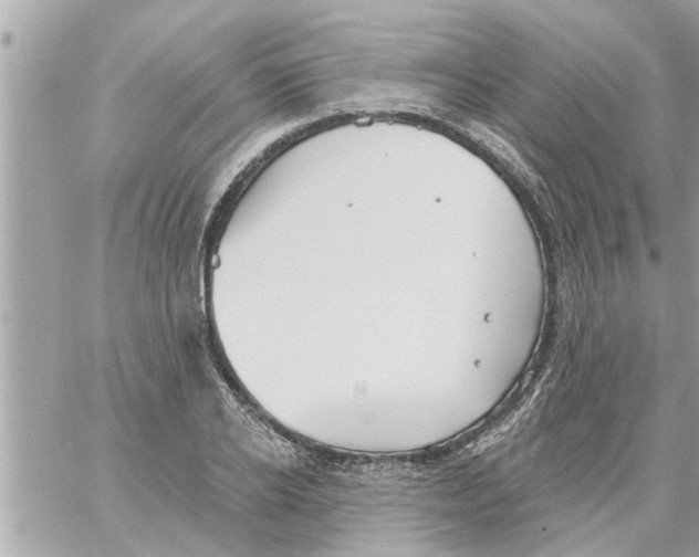 X0000058120934200510212017