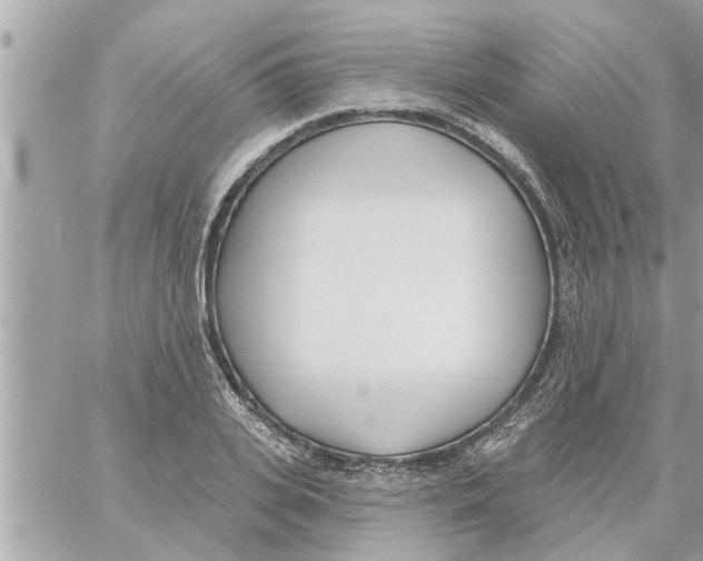 X0000058120935200510212017